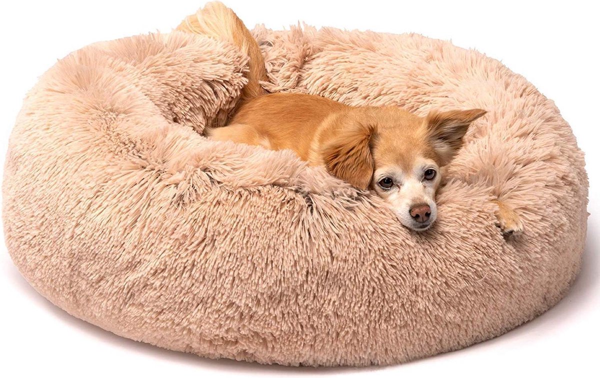 HONDENMAND FLUFFY BEIGE DONUT | Beary Smiles