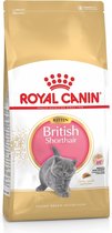 Royal Canin British Shorthair Kitten - Kattenvoer - 10 kg