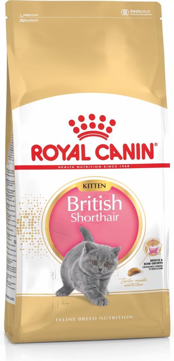 handig meer arm Royal Canin British Shorthair Kitten - Kattenvoer - 10 kg | bol.com