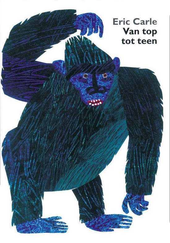 Afbeelding van het spel Van Top Tot Teen