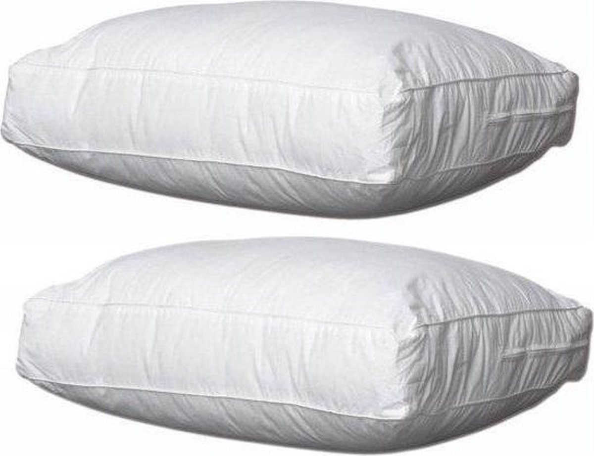 Swiss Box Kussen 50x60x10 2 stuks