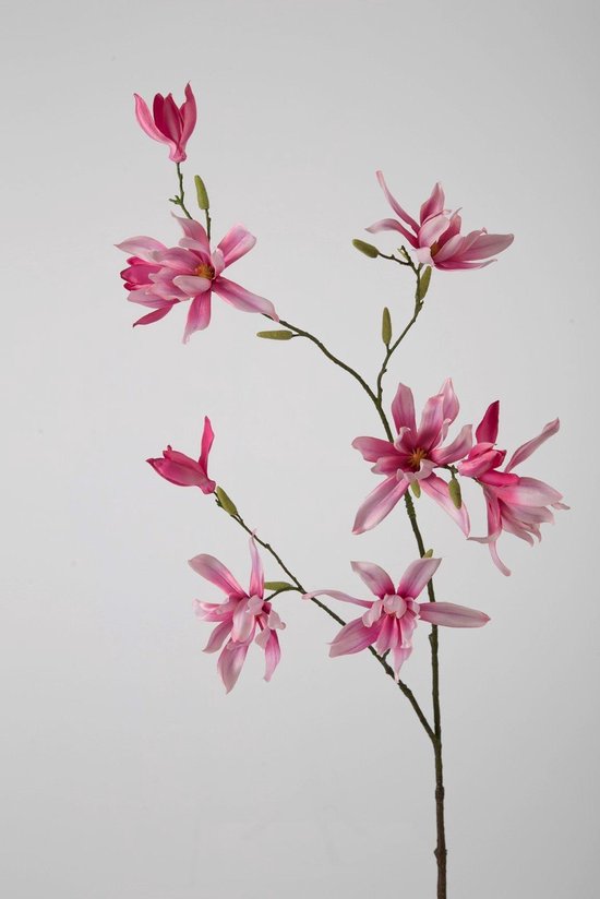 verschil Echter Hol Viv! Home Luxuries Magnolia Japans - zijden bloem - donker roze -  topkwaliteit | bol.com