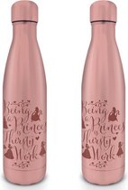 Disney Princess Metalen Drink Fles