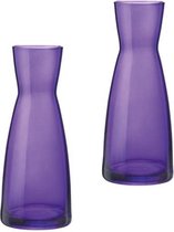 Set van 2 stuks paarse karaffen of vazen 20.5 cm van glas - bloemen vazen paars