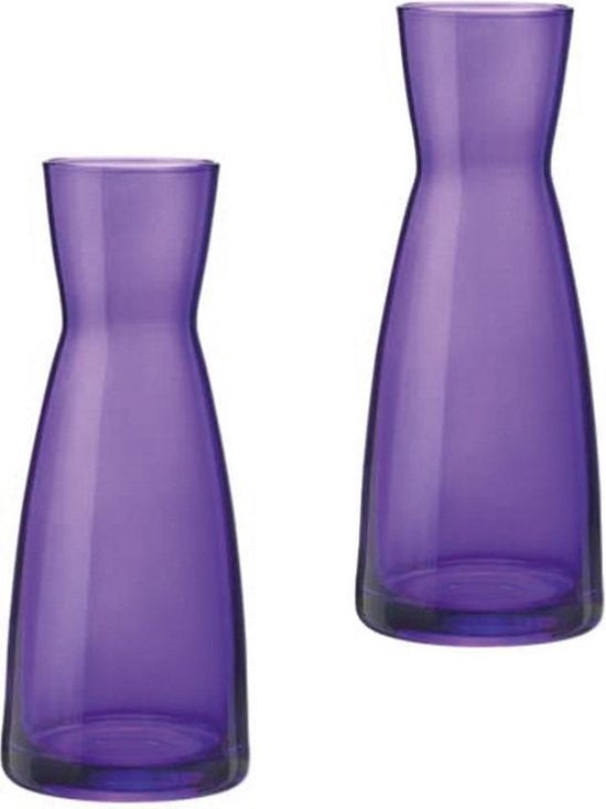 Set van 2 stuks paarse karaffen of vazen 20.5 cm van glas - bloemen vazen  paars | bol.com