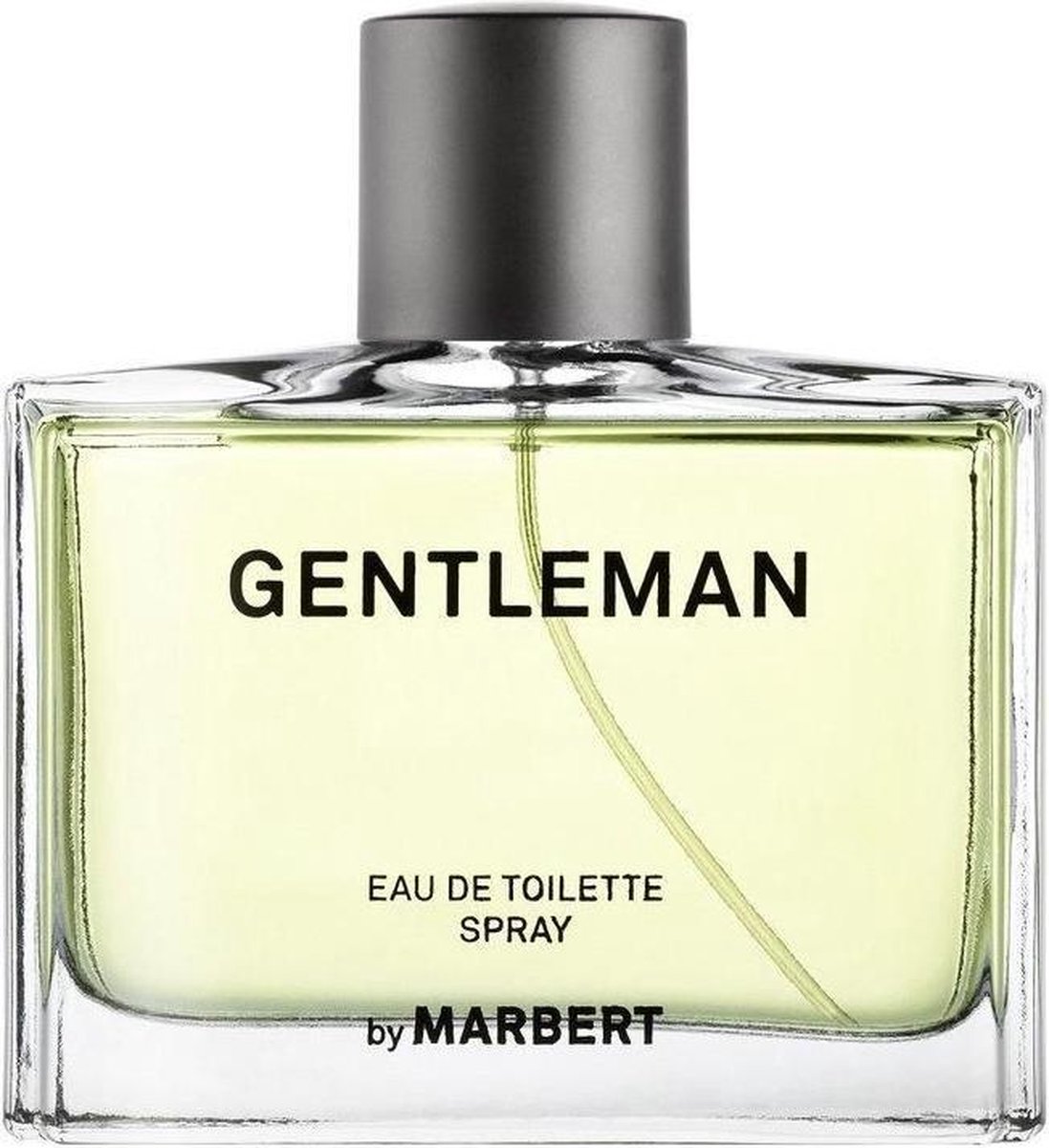 Marbert Gentleman Edt Spray 100 Ml