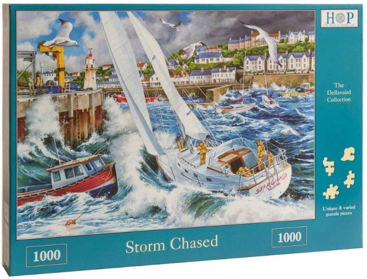 House of Puzzels Storm Chased