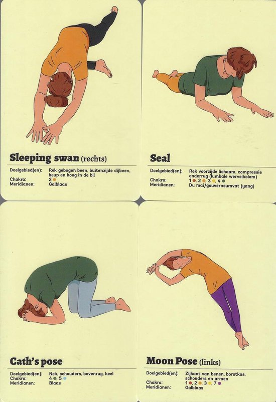 Yin Yoga kaarten set, SanaYouYOGA | 9789076522777 | Boeken | bol.com