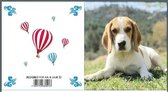 Jul And Julie Kit | Diamond painting Liggende Hond