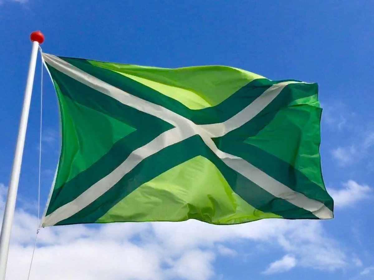 Achterhoekse vlag (de echte officiële vlag) | bol.com