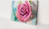 Roze roos | 150 x 100 CM | Canvasdoek voor buiten | Schilderij | Outdoor | Tuindoek
