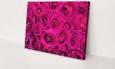 Roze rozen | 60 x 40 CM | Canvasdoek voor buiten | Schilderij | Outdoor | Tuindoek