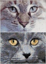 Thea Gouverneur - Borduurpakket met telpatroon - 541A - Voorgesorteerde DMC Garens - Katten Jack + Luna - Aida - 17 cm x 12 cm - DIY Kit