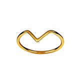 Goud Plated V Ring