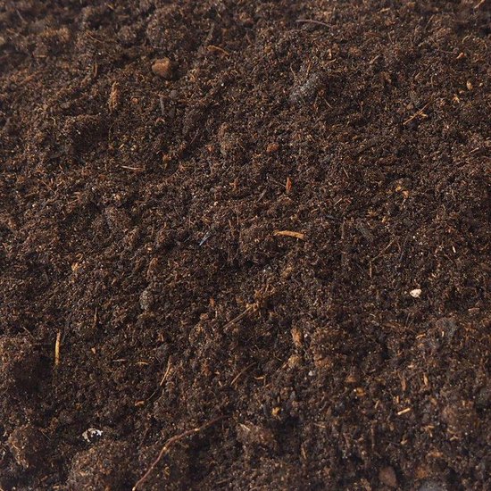 4 poedelnaakte tuinhulpjes voor een gezonde en voedzame bodem - Steck
