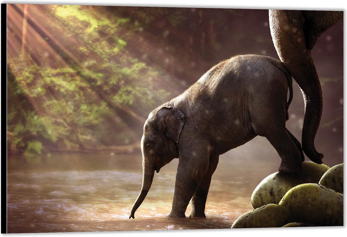 KuijsFotoprint - Schilderij - Baby Olifant Aan De Rand Het Water - Groen En Grijs - 100 X 150 Cm