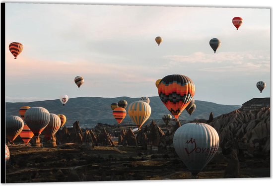 Dibond -Gekleurde Luchtballonnen- Foto op Aluminium (Wanddecoratie van metaal)