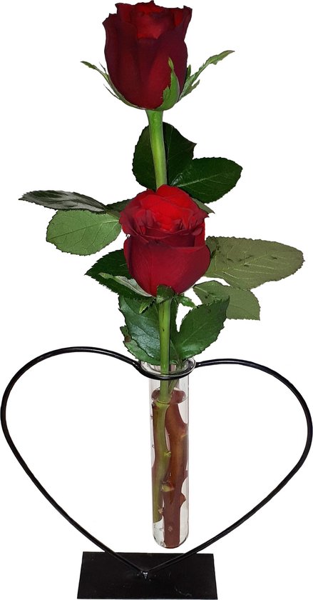 Vase coeur livré avec des roses rouges. Bien pour la Saint-Valentin |  bol.com