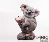 Koala dieren beeld 32 x 21 x 46 cm - Tuin decoratie/woonaccessoires - Dieren beelden - Australie beeldjes