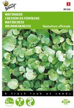 2 stuks Waterkers (Nasturtium officinale)