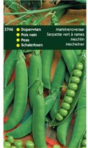 5 stuks Doperwten Marktveroveraar 250 gram