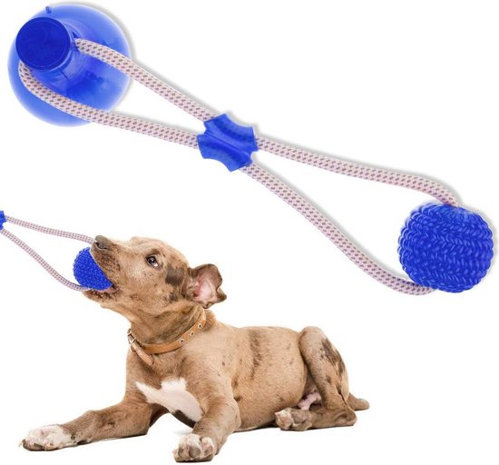 Hondenspeelgoed met Touw en Zuignap - Hondenbal - Interactief Speelgoed -  Dieren - Blauw | bol.com