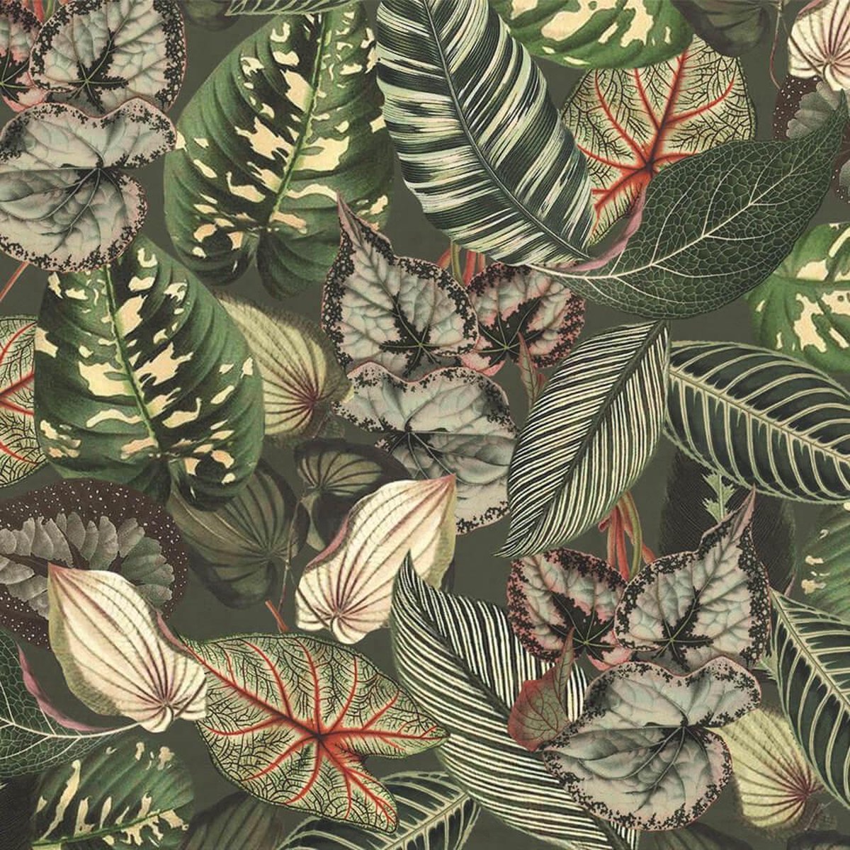 spleet praktijk Bewustzijn velours botanische bladeren stof - groene velvet digitale print stof per  meter -... | bol.com