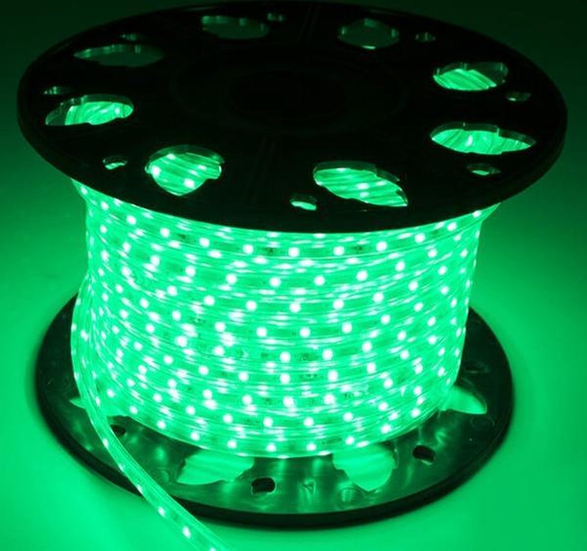 Bekijk de glow in the dark wereld in zee tijdens een nachtelijke fluorduiksessie