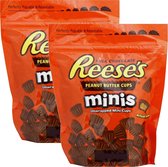 Reese's mini's unwrapped (2 x 215g)