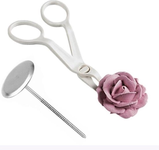 Outil professionnel de fleur de glace - Ciseaux pour faire des fleurs de  glace - Rose... | bol