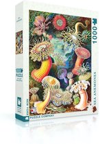 New York Puzzle Company - Vintage Images Sea Anemones - 1000 stukjes puzzel