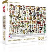 New York Puzzle Company Mushrooms ~ Champignons - 1000 pieces