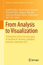 Springer Proceedings in Mathematics & Statistics 313 - From Analysis to Visualization