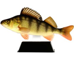 Vistrofee Real Fish Baars 20 cm Prijs Roofvis Wedstrijd Viswedstrijd Visprijs Wedstrijdprijzen Vis