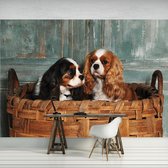 Fotobehang Vlies | Hond | Bruin, Groen | 368x254cm (bxh)