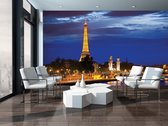 The Eiffel Tower Photo Wallcovering