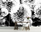 Fotobehang - Vlies Behang - Paardenbloemen in zwart-wit - 208 x 146 cm