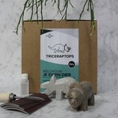 SamStone Doe-het-zelf pakket speksteen triceratops maken