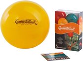 Fitnessbal - Ledragomma - Funeffects - 42 cm - inclusief pompje