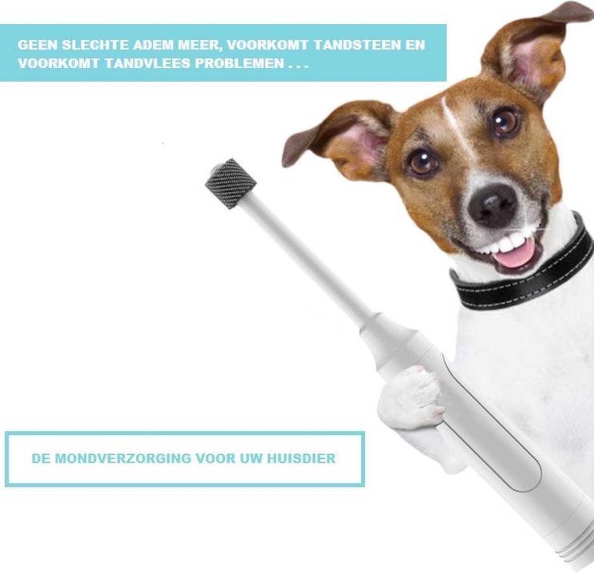 Beneden afronden universiteitsstudent optellen Elektrische dieren tandenborstel voor Hond of kat / Hondentandenborstel /  Honden... | bol.com