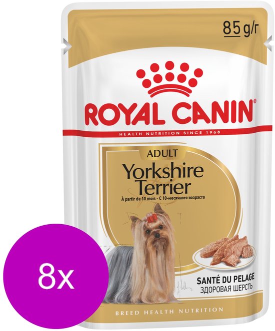 Royal Canin pouch for Yorkshire Terriers, 85g x 12. Features a Yorkshire Terrier and meat pieces. Text: SANTÉ DU PELAGE.
