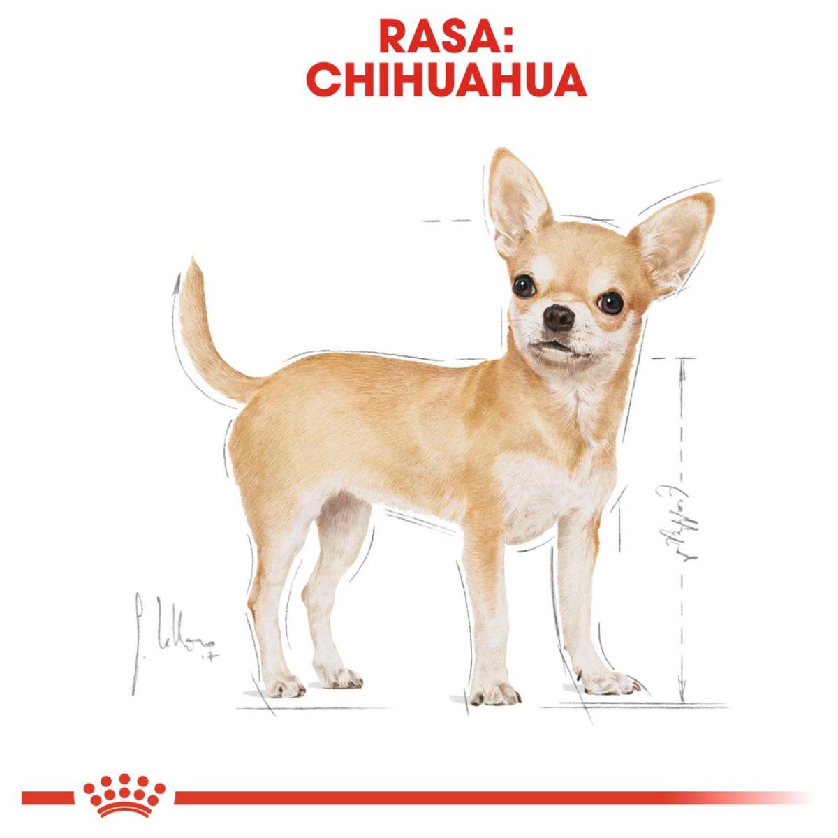 Datum gegevens Hoes Royal Canin Chihuahua 1.5 KG | bol.com