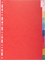 15x Tabbladen glanskarton 225g met geplastificeerde gekleurde tabs - 10 tabs - A4