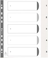 20x Tabbladen met bedrukte tabs in PP - 5 tabs - 1 tot 5 - A4, Wit