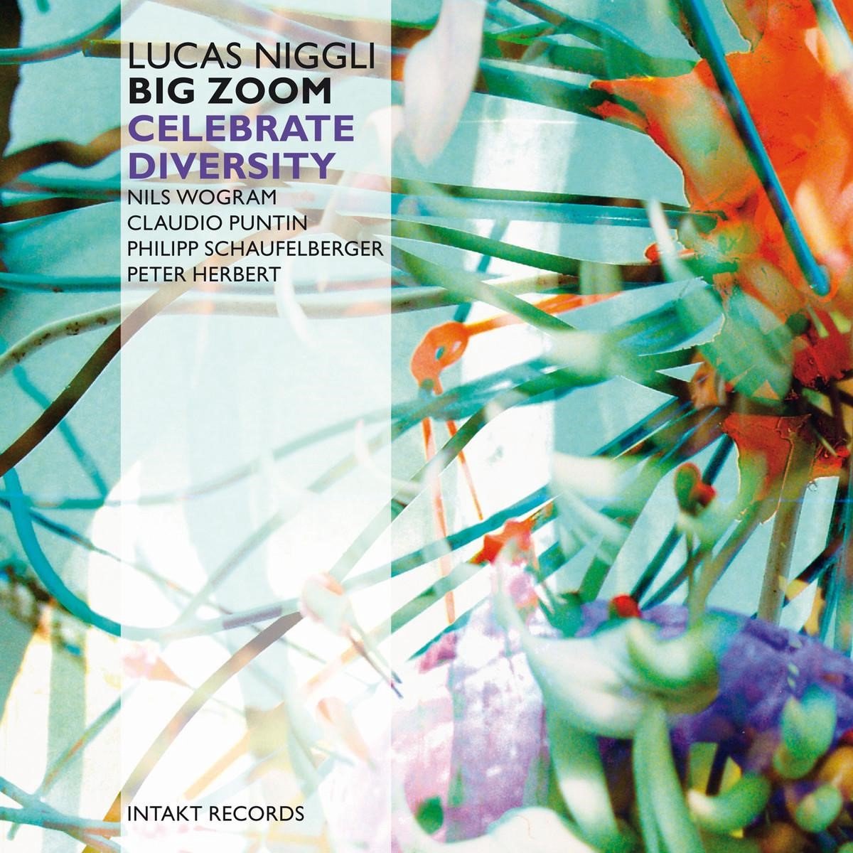 Lucas Niggli Big Zoom - Big Zoom Celebrate Diversity (CD)