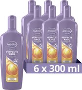 Bol.com Andrélon Classic Perfecte Krul Shampoo - 6 x 300 ml - Voordeelverpakking aanbieding