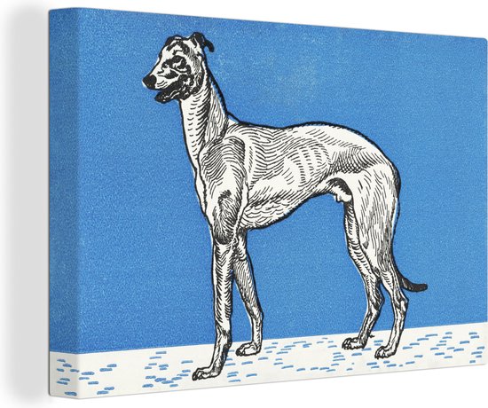 Canvas Schilderij Greyhound - schilderij van Moriz Jung - 60x40 cm - Wanddecoratie