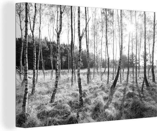 Canvas Schilderij Berkenbomen in Europa - zwart wit - Wanddecoratie