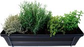 Mix van kruiden in ELHO ® Green Basics balkonbak (Living Black) met metalen balkonrek ↨ 30cm - hoge kwaliteit planten