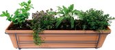 Mix van kruiden in ELHO ® Green Basics balkonbak (Mild Terra) met metalen balkonrek ↨ 30cm - hoge kwaliteit planten